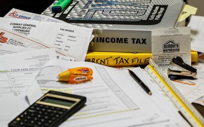 Business Travel and Subsistence Expenses Tax Return