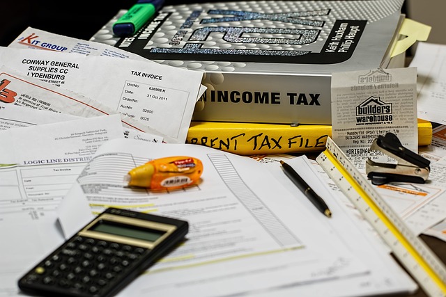 Business Travel and Subsistence Expenses Tax Return
